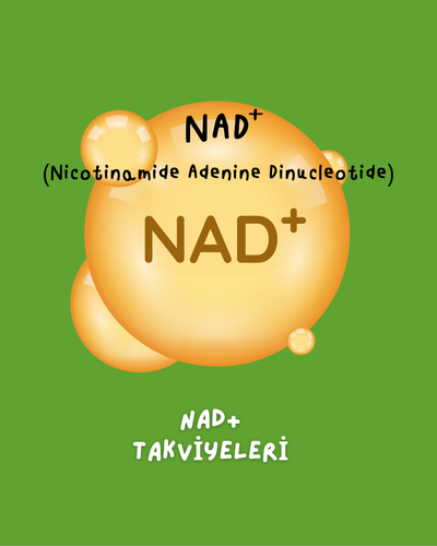 NAD+ Takviyeleri (Enerji ve Hücresel Destek)